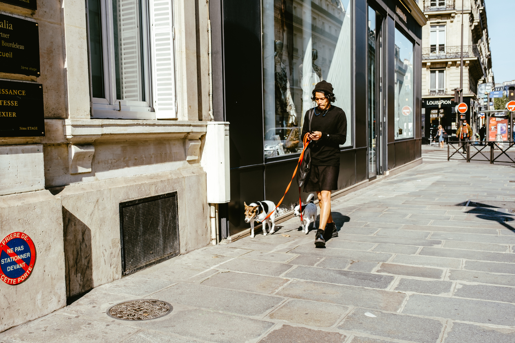 Canicule : Protéger la Peau et le Pelage de Votre Chien | Fur Love