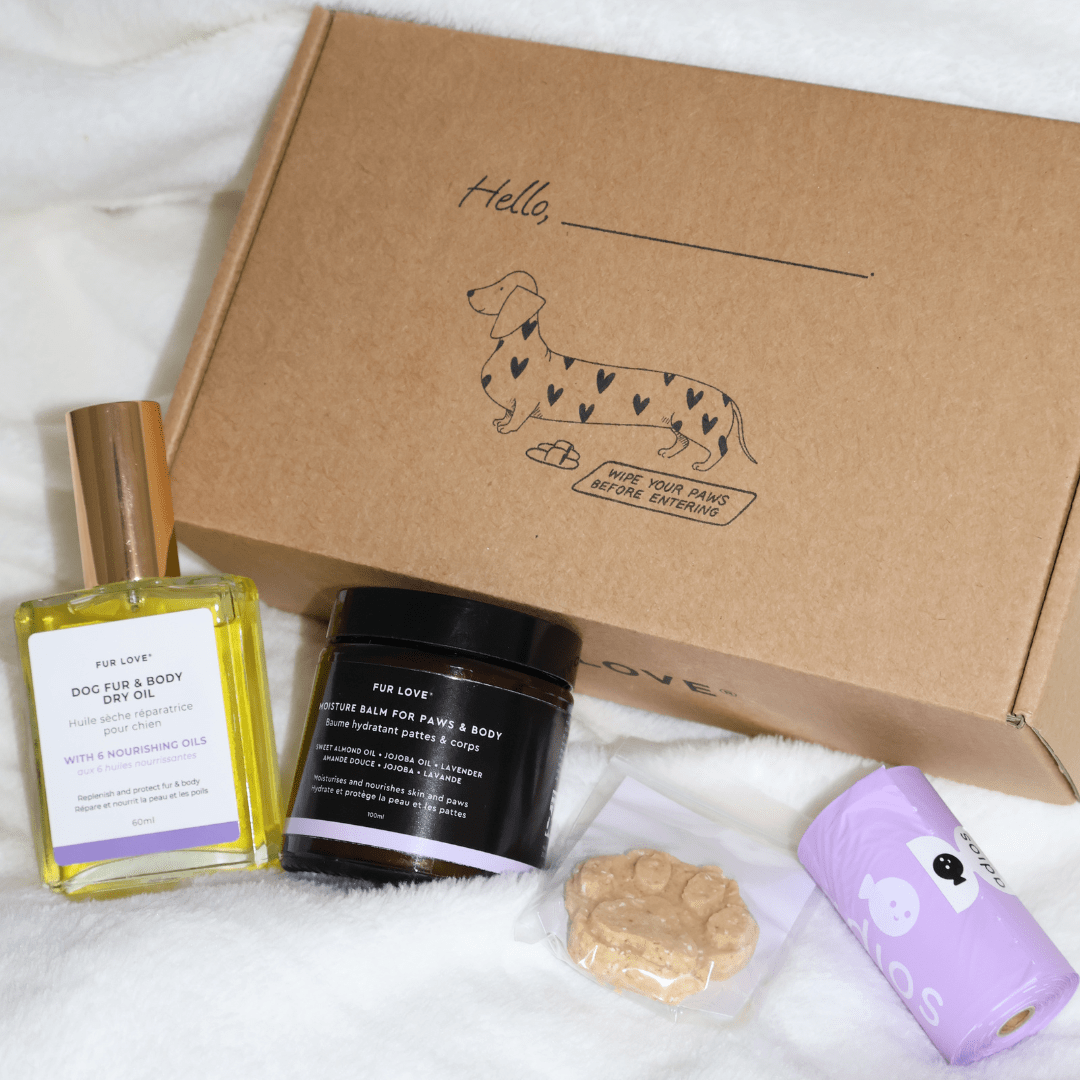 La Petite Box de Noël - Édition Limitée 🎁