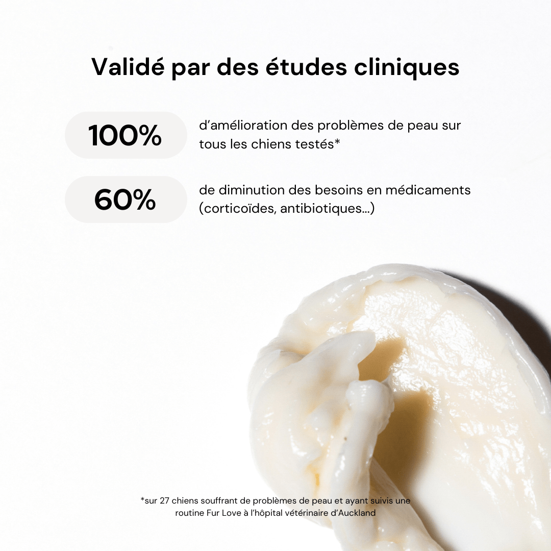 Après-Shampoing ultra hydratant pour chien – Huile de Coco & huile d'amande douce