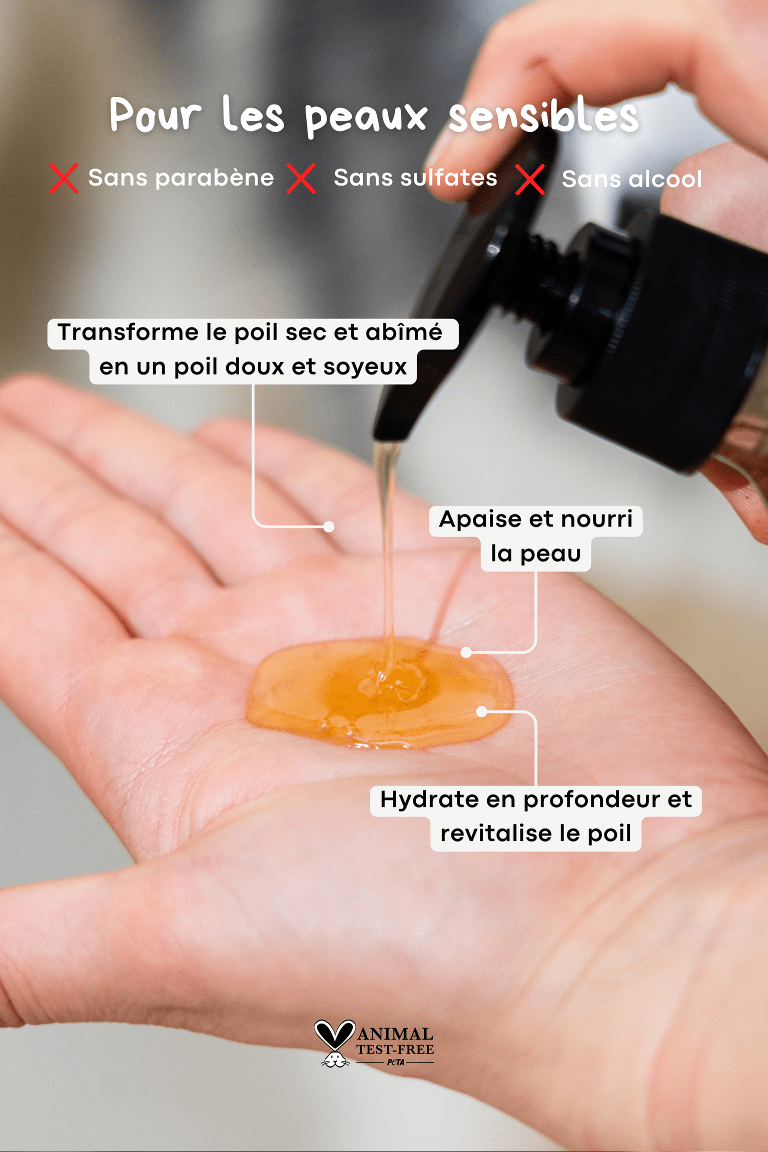 Kit première découverte