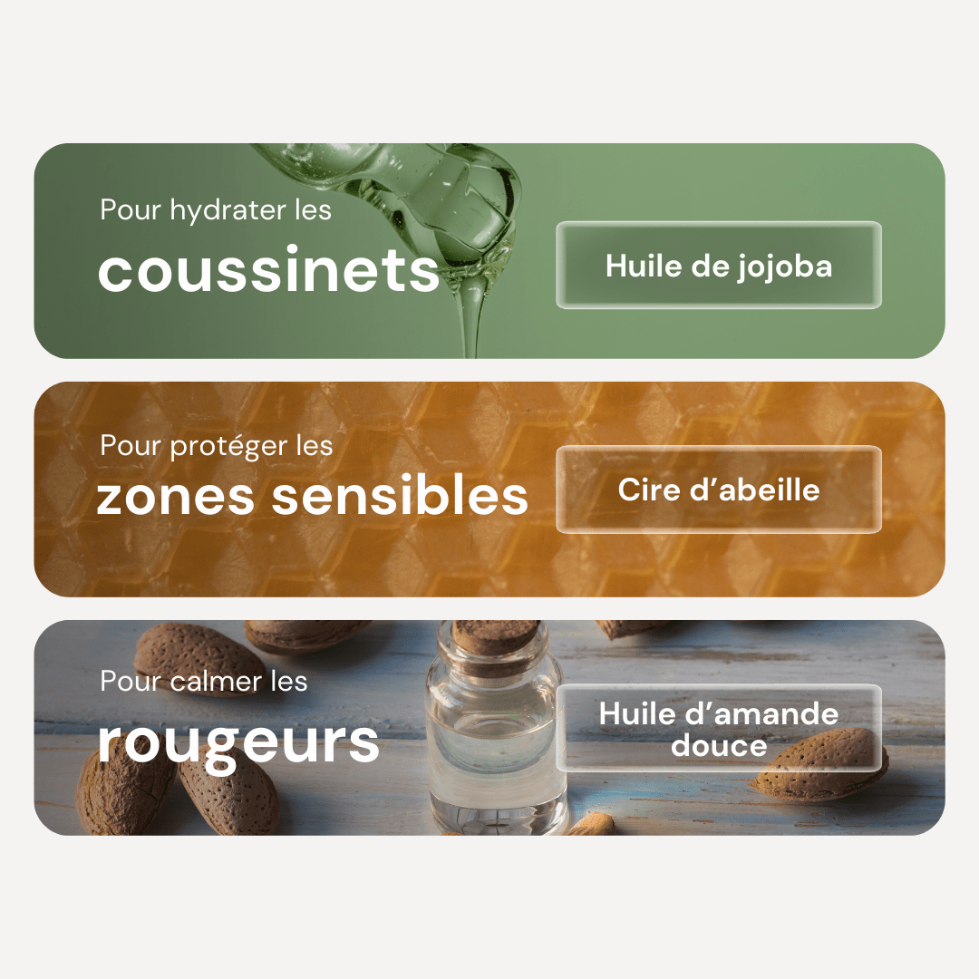 Baume hydratant zones sèches pour chien – Cire d’Abeille & Huiles Apaisantes