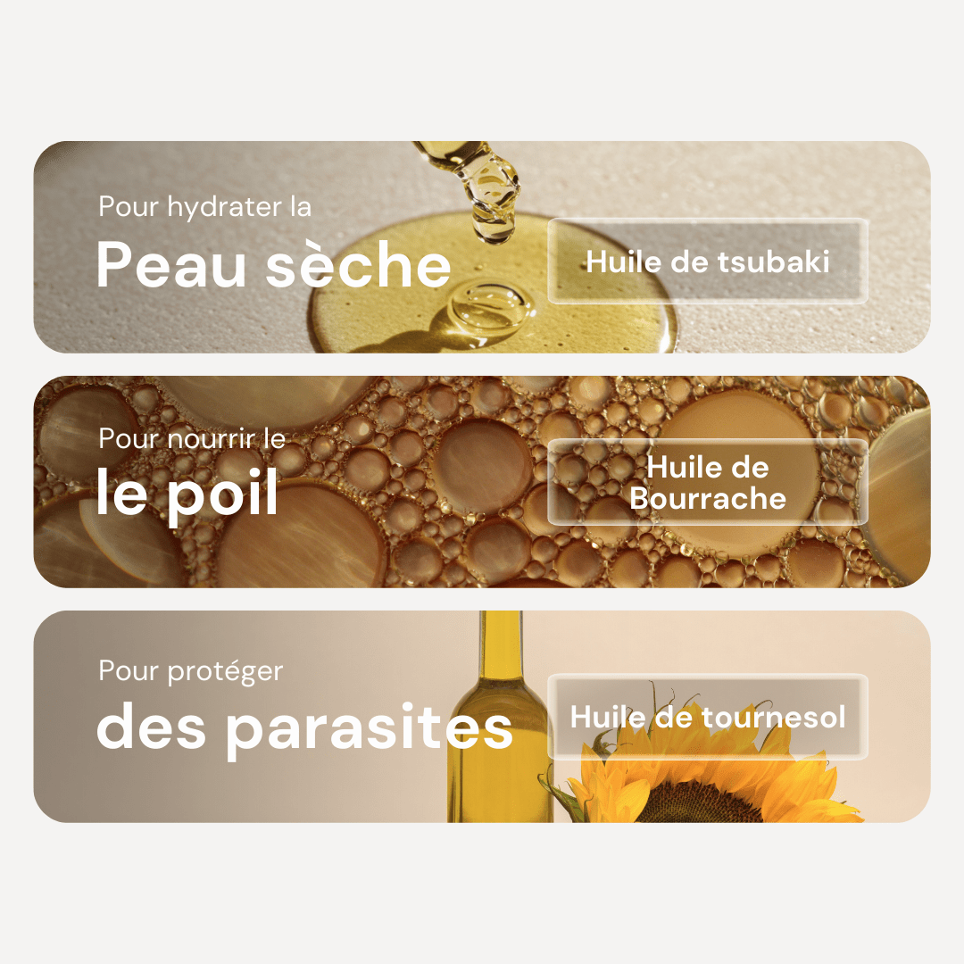 Huile de Soin Naturelle pour chien – Argan & Bourrache