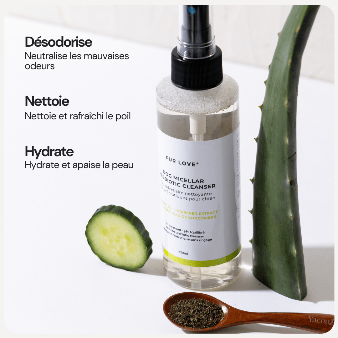 Kit de soins pour chiens - Les essentiels