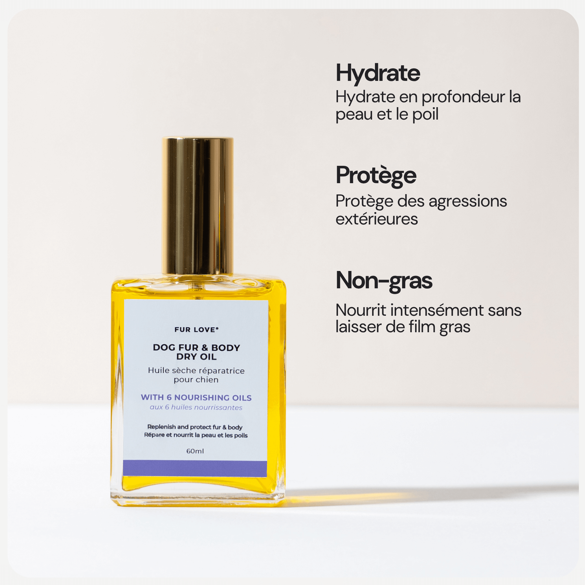 Kit de soins pour chiens - Sans rinçage pattes & corps