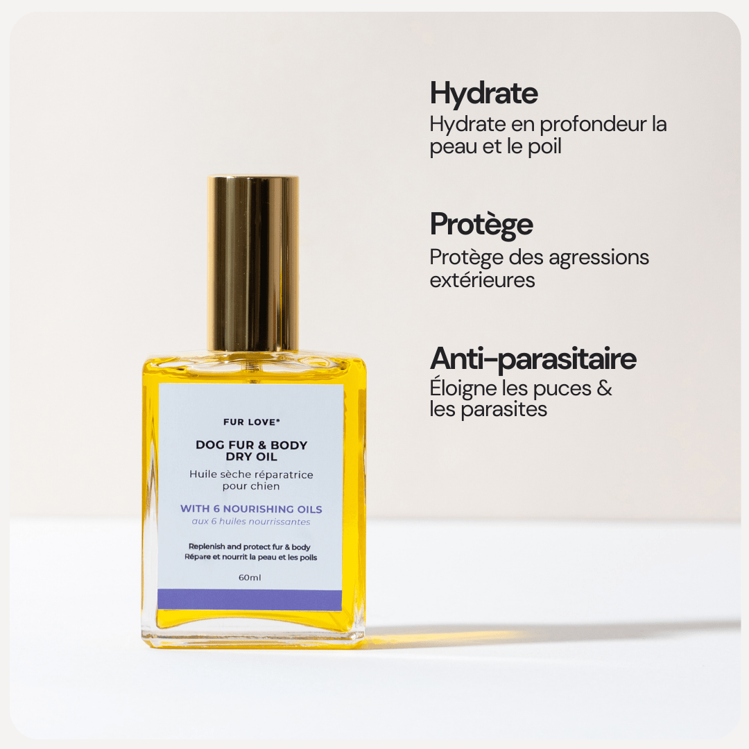 Kit de soins pour chiens - Les essentiels