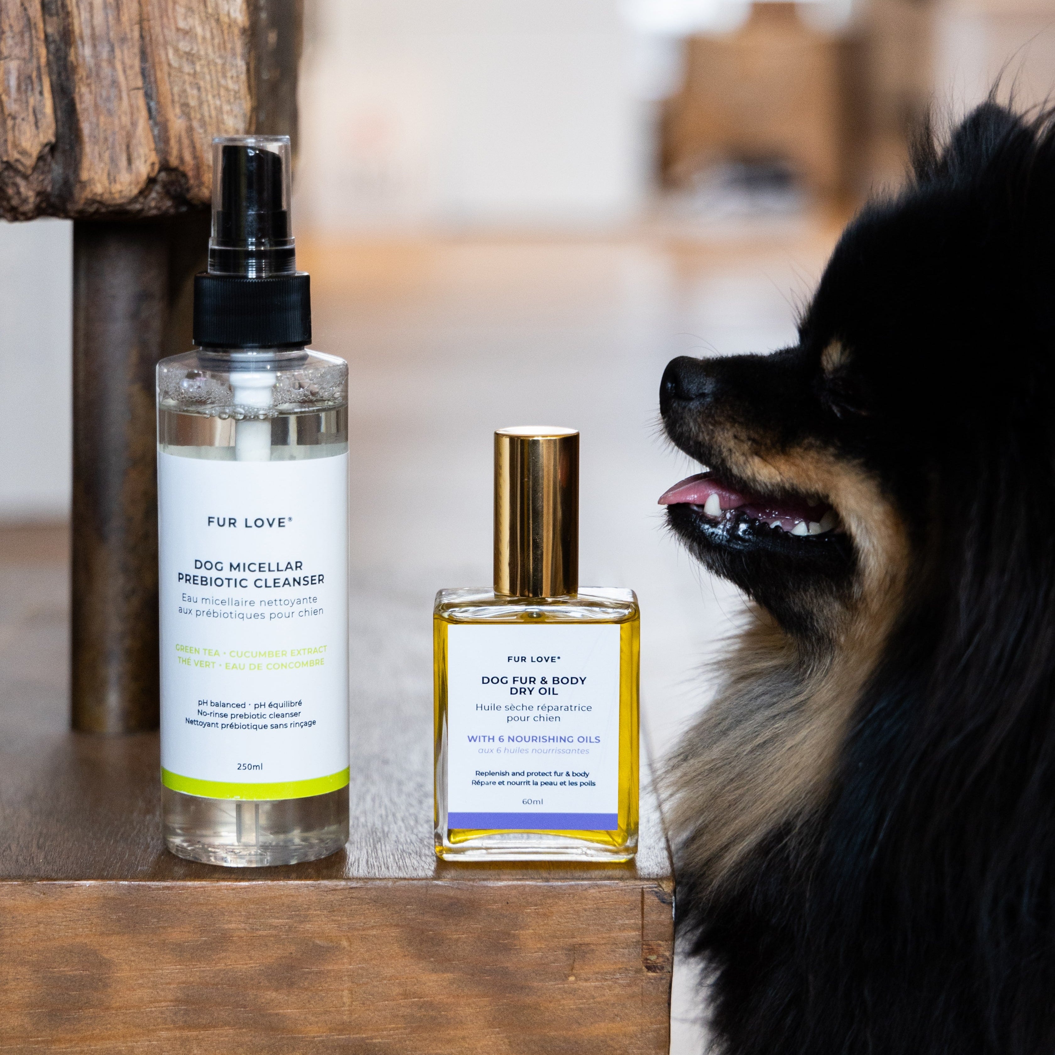 Kit de soins sans rinçage pour chiens - Poil tout doux
