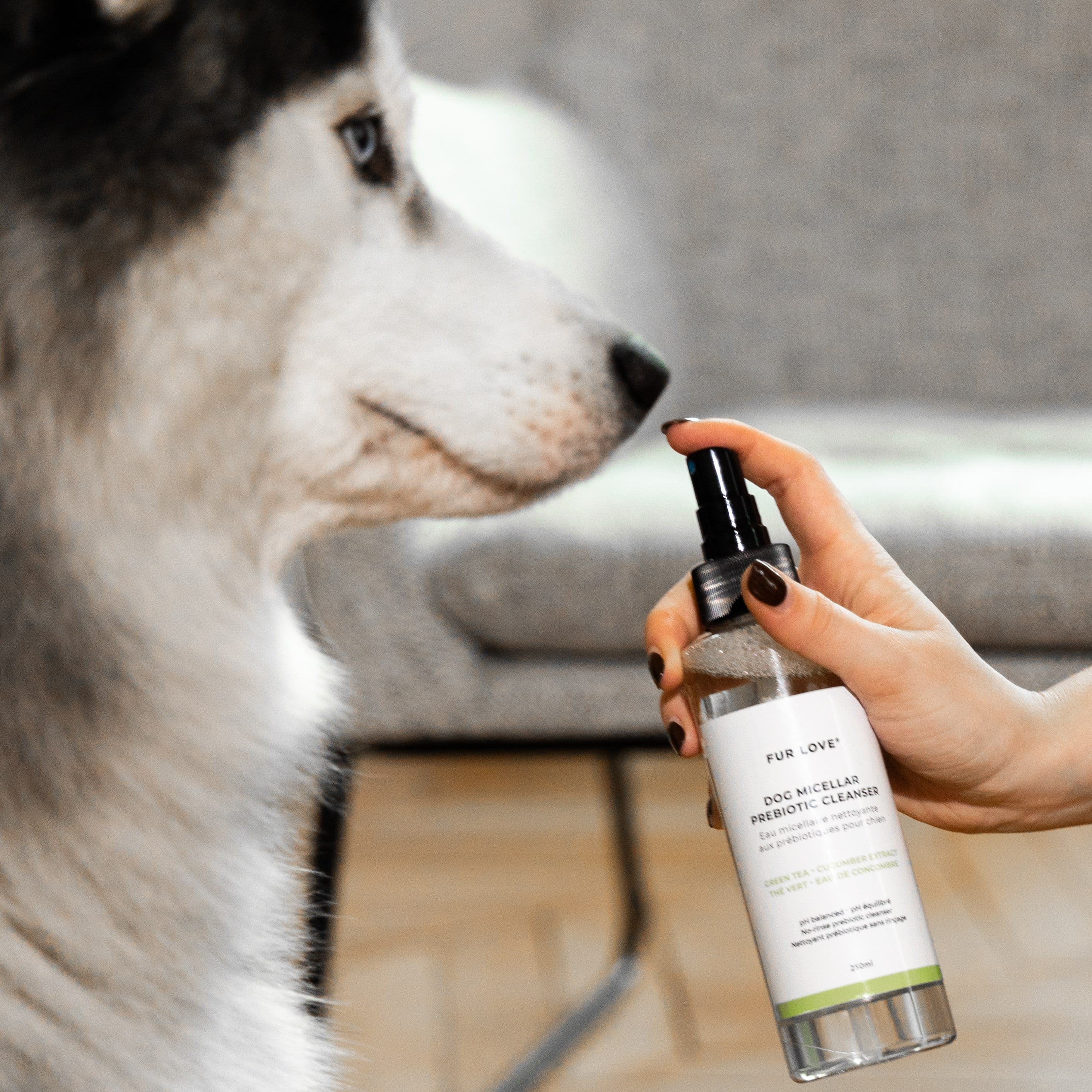 Eau Micellaire sans rinçage pour chien - Prébiotiques & Aloe Vera