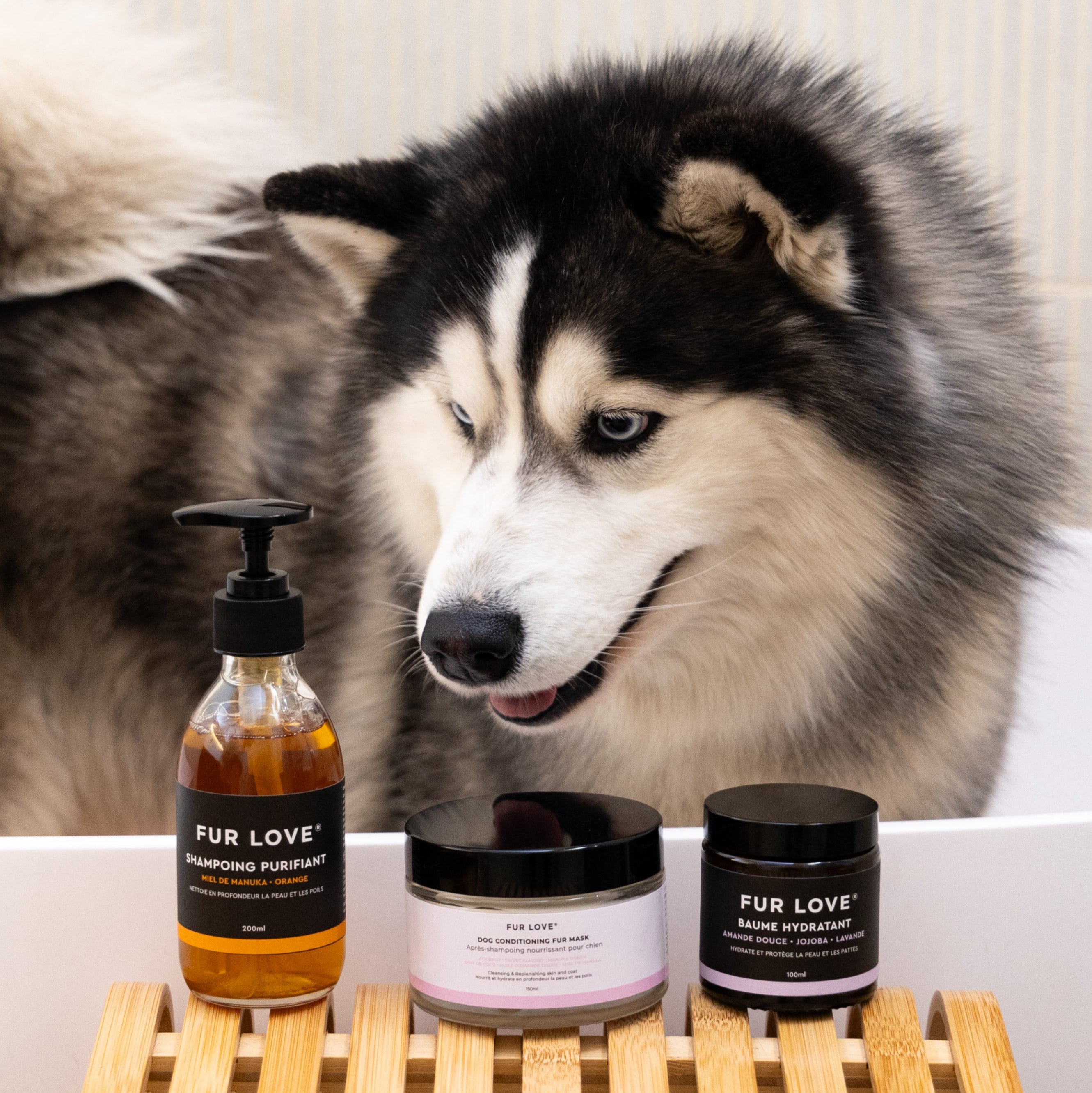 Kit de soins pour chiens - Ultra Hydratant