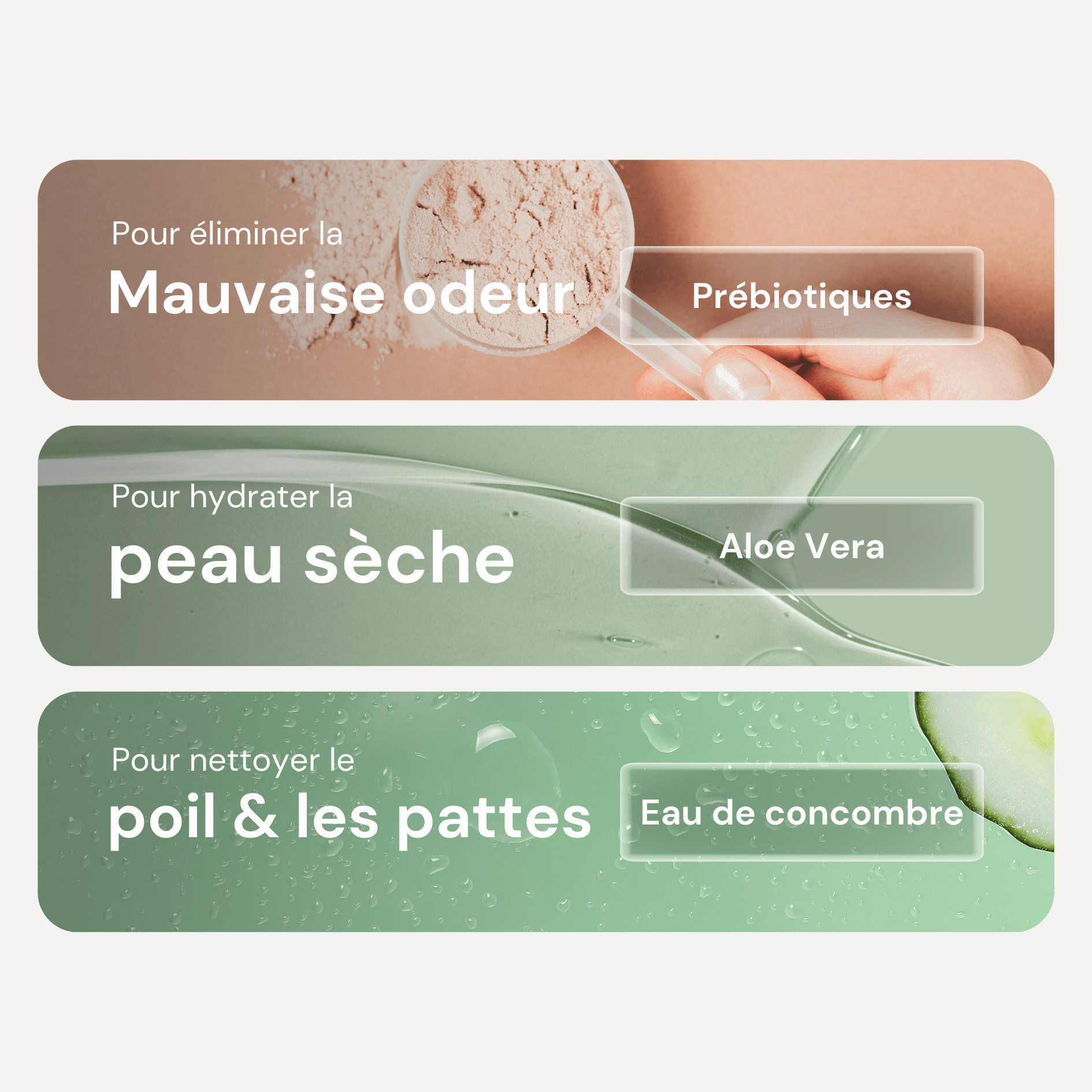 Eau Micellaire sans rinçage pour chien - Prébiotiques & Aloe Vera