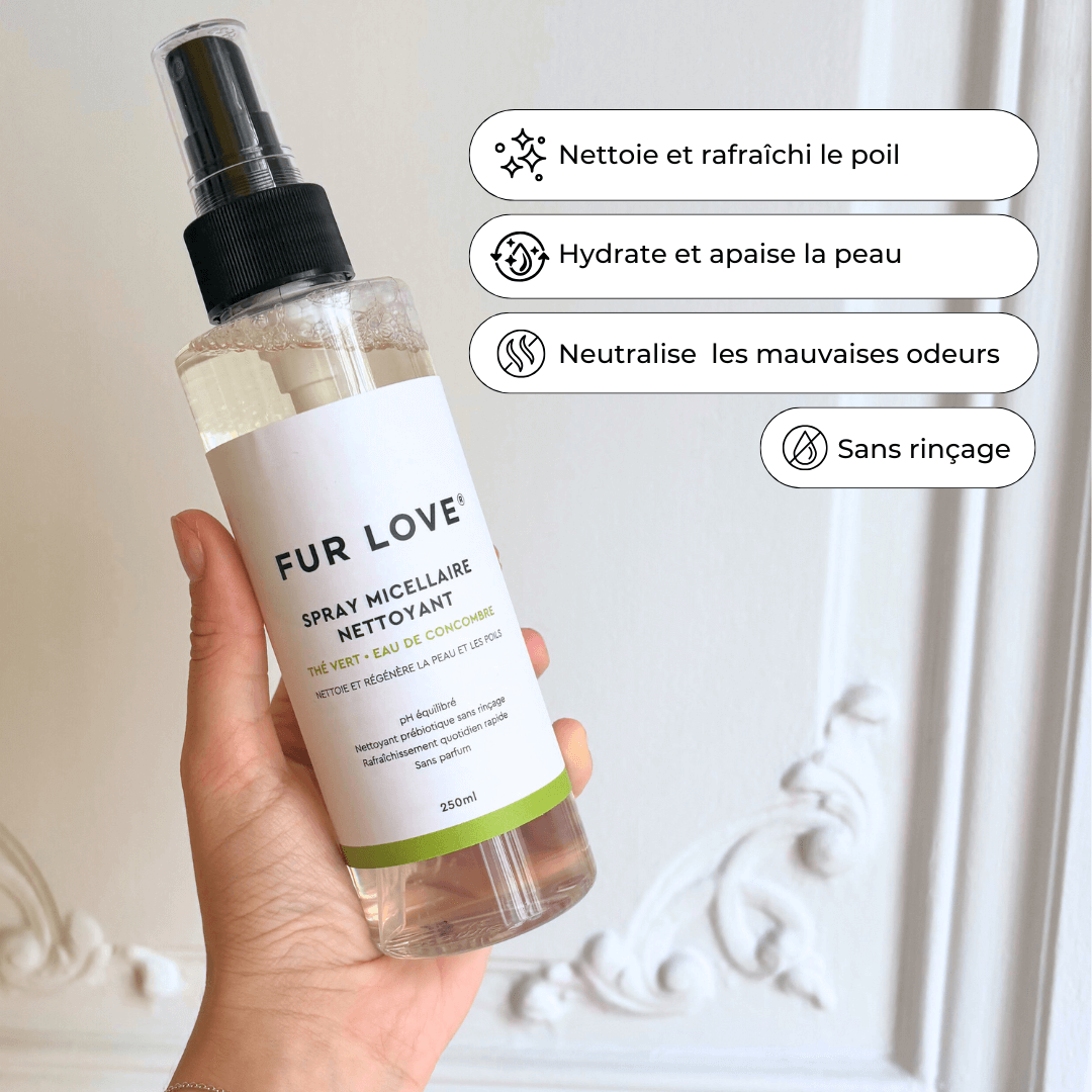 Kit Routine Fraîcheur Longue Durée