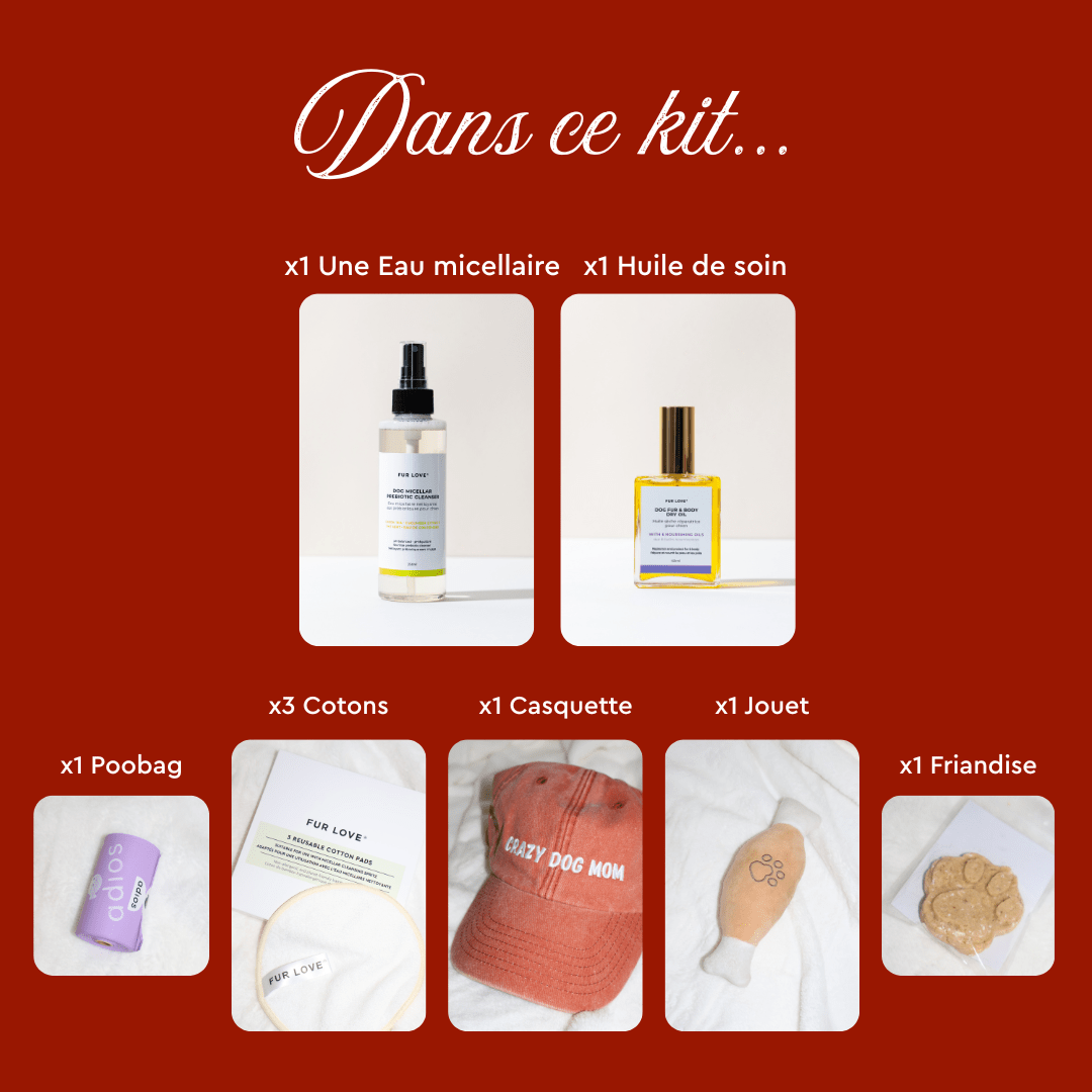 La Grande Box de Noël - Édition Limitée 🎁