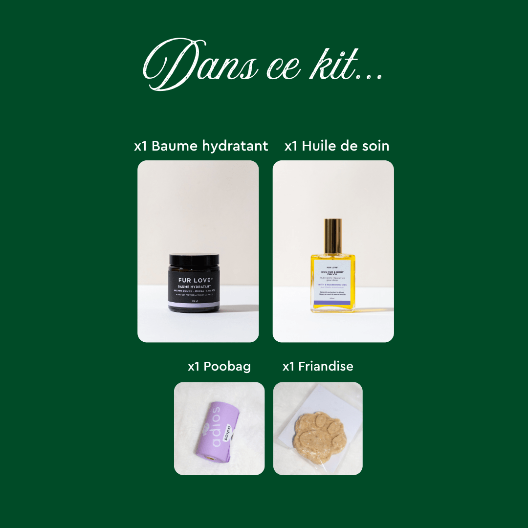 La Petite Box de Noël - Édition Limitée 🎁