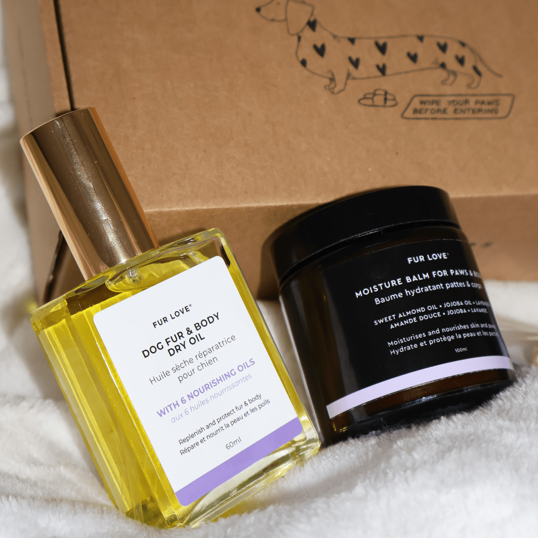 La Petite Box de Noël - Édition Limitée 🎁