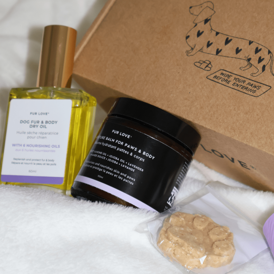 La Petite Box de Noël - Édition Limitée 🎁