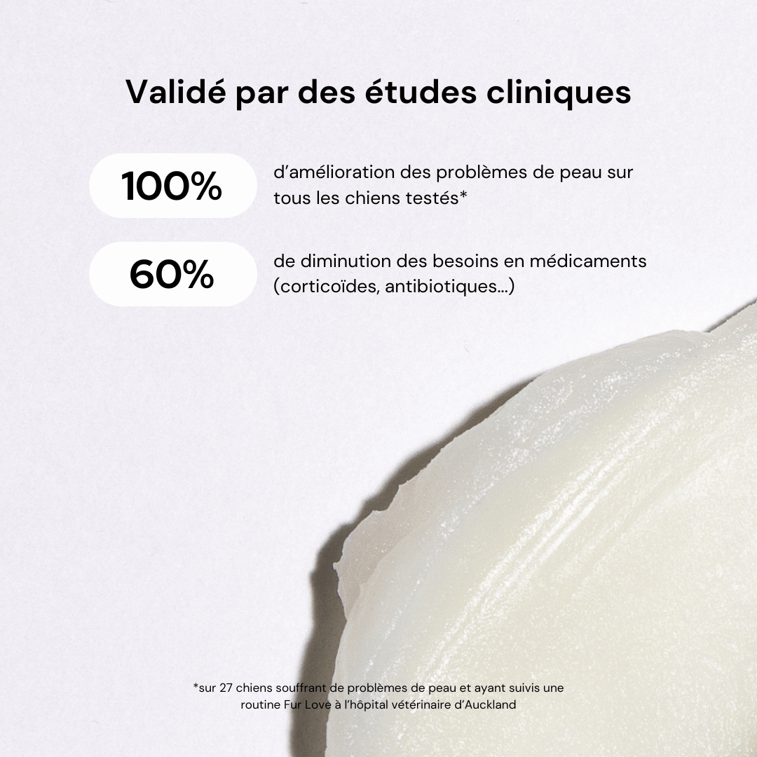 Baume hydratant zones sèches pour chien – Cire d’Abeille & Huiles Apaisantes