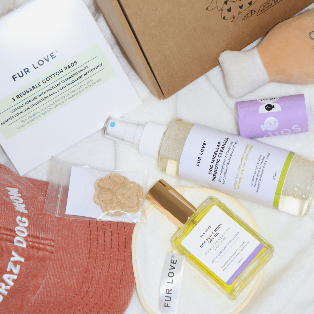 La Grande Box de Noël - Édition Limitée 🎁