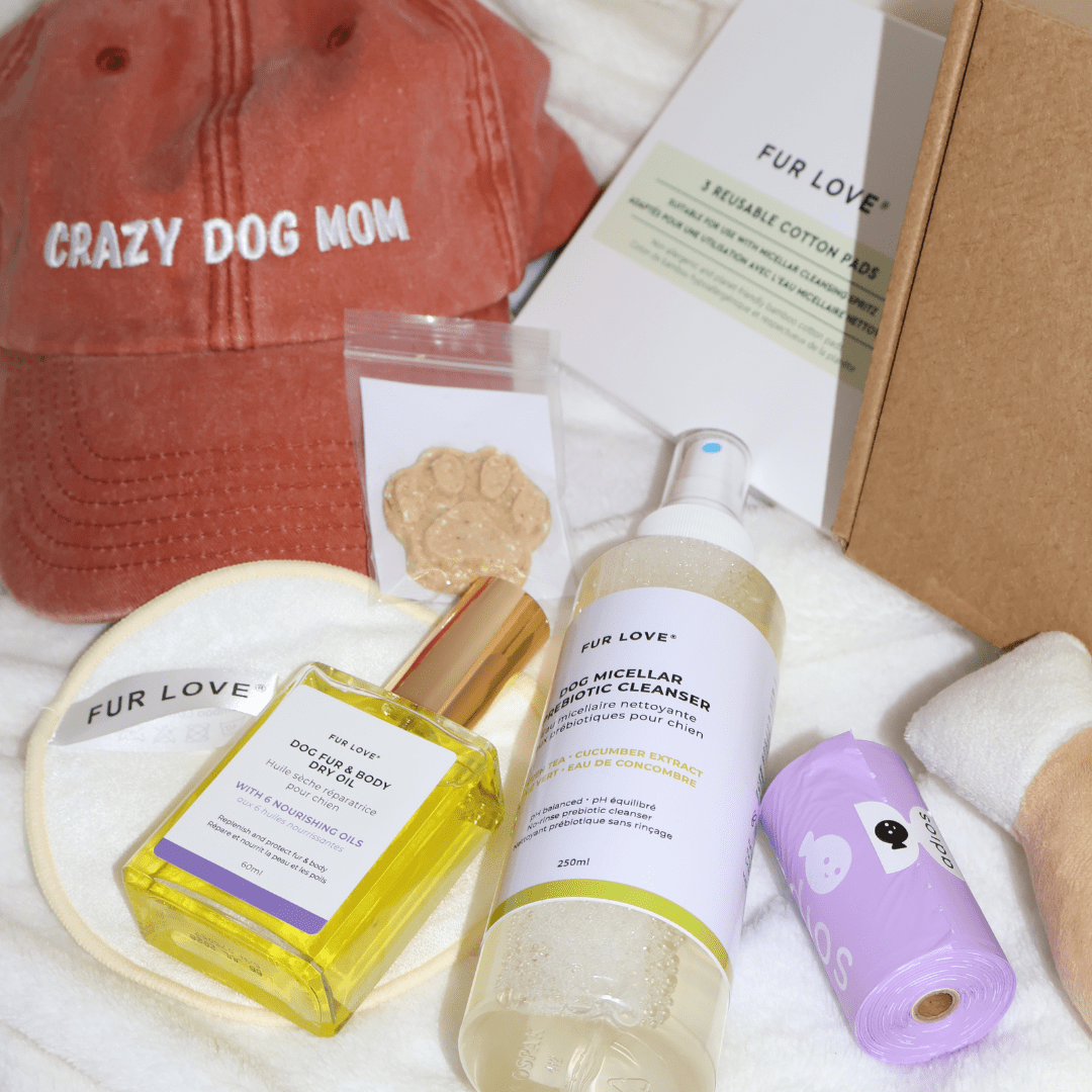 La Grande Box de Noël - Édition Limitée 🎁