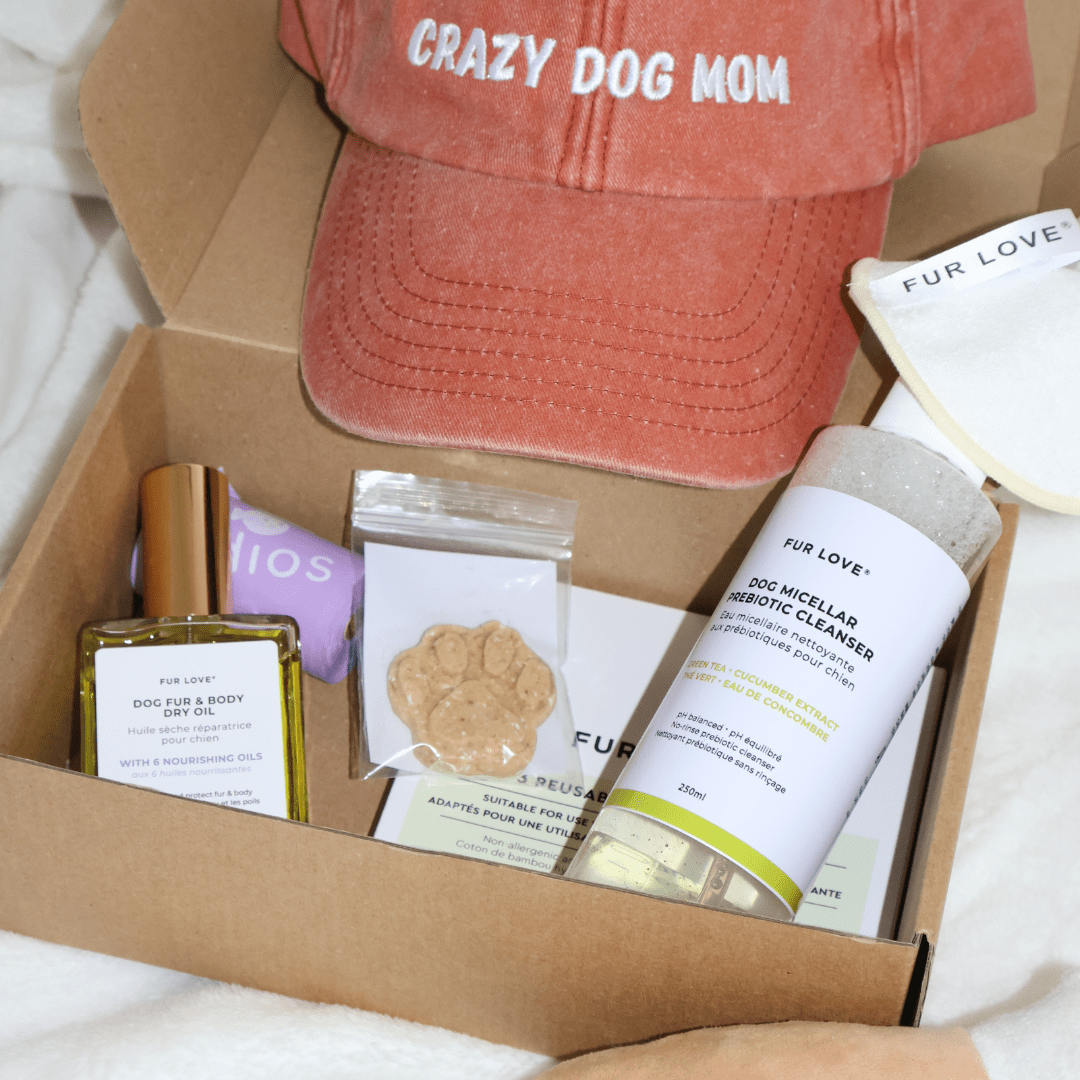 La Grande Box de Noël - Édition Limitée 🎁