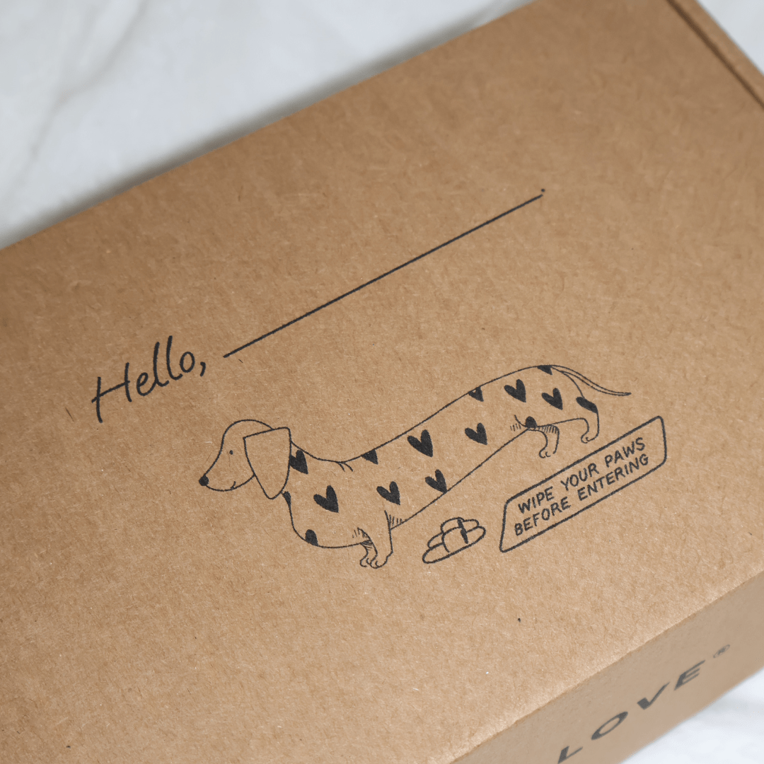 La Grande Box de Noël - Édition Limitée 🎁