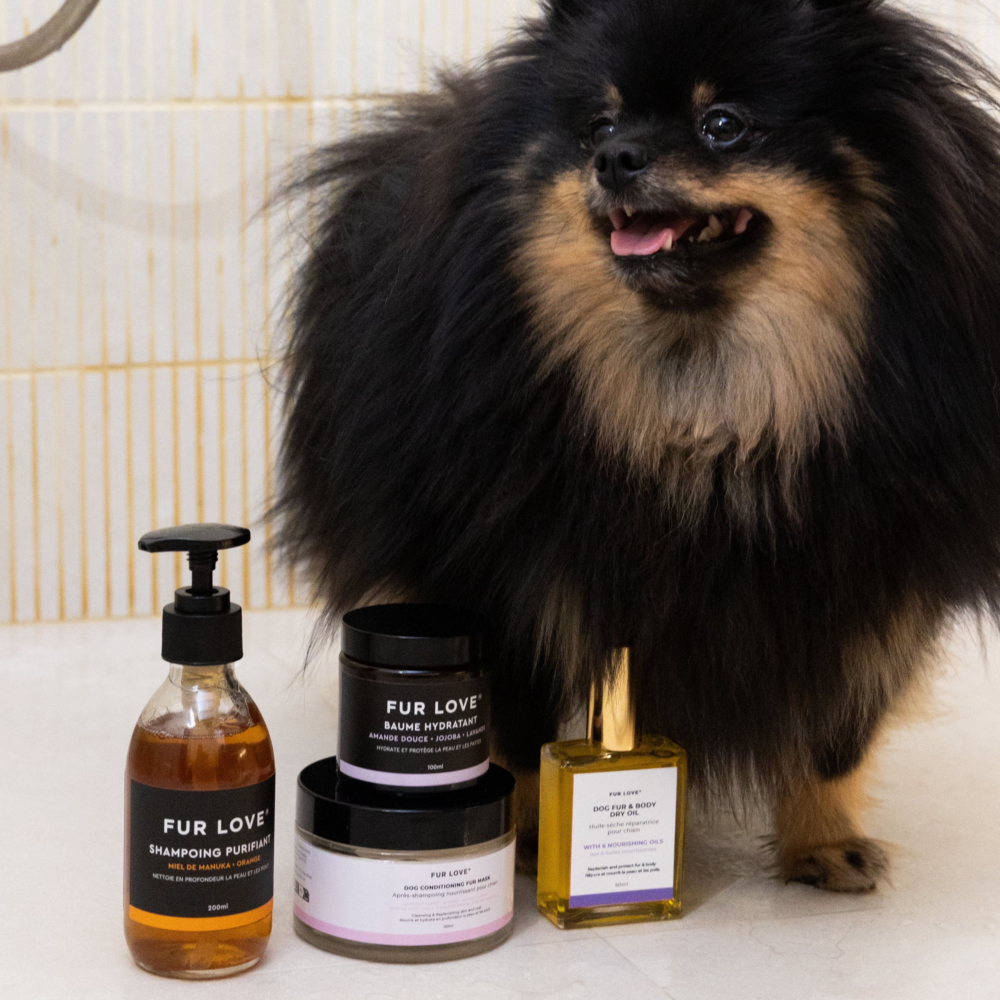Kit de soins pour chiens : All inclusive